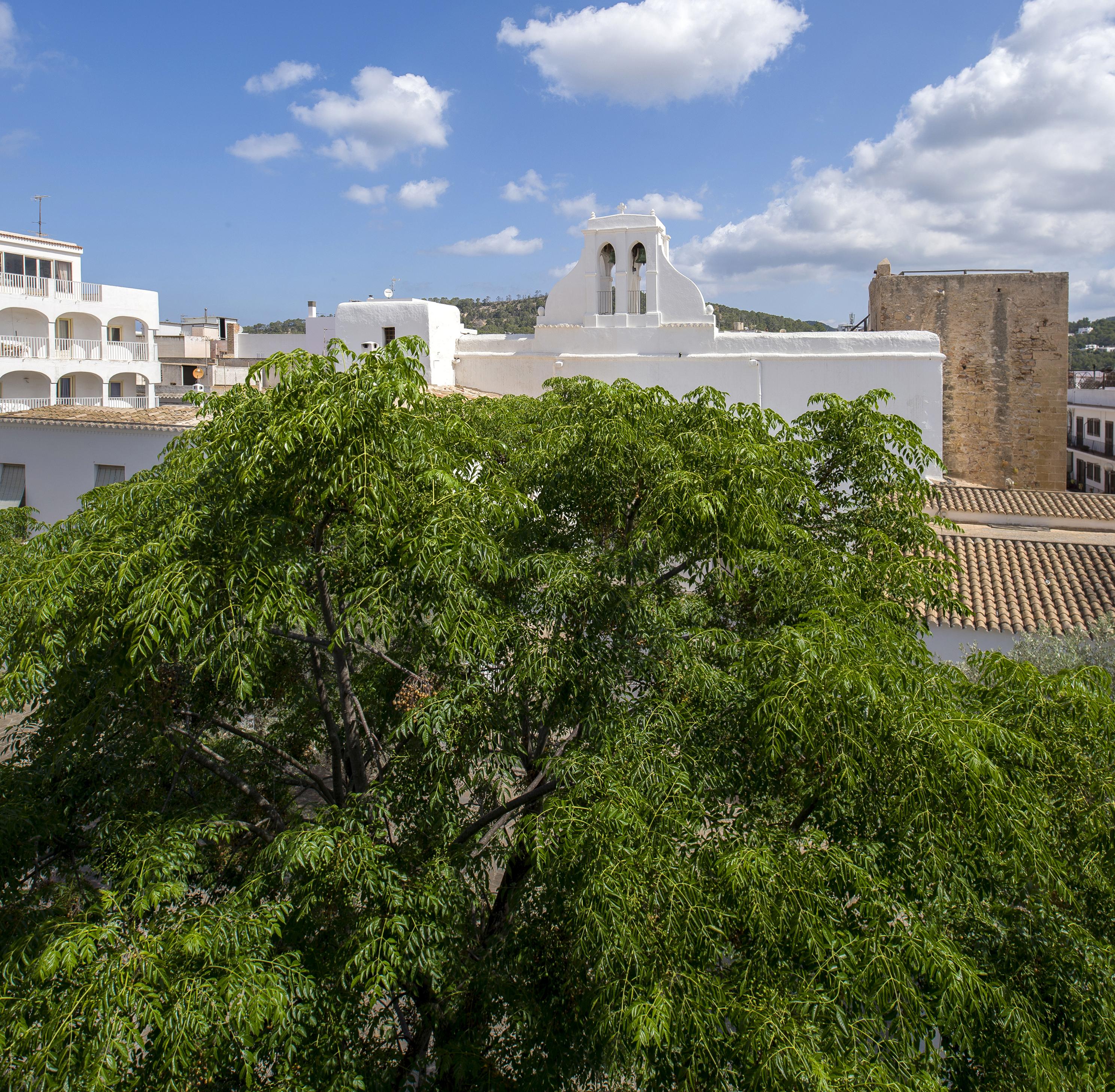 Tramuntana Appartement Sant Antoni de Portmany